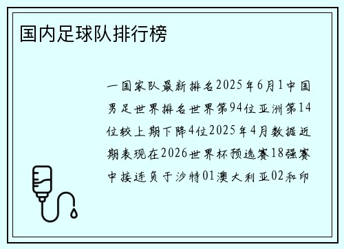 国内足球队排行榜